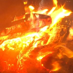 Meet your Posher, Terri